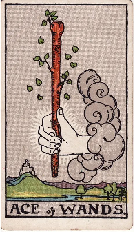 Ace of Wands tarot card