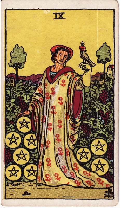 Nine of Pentacles tarot card